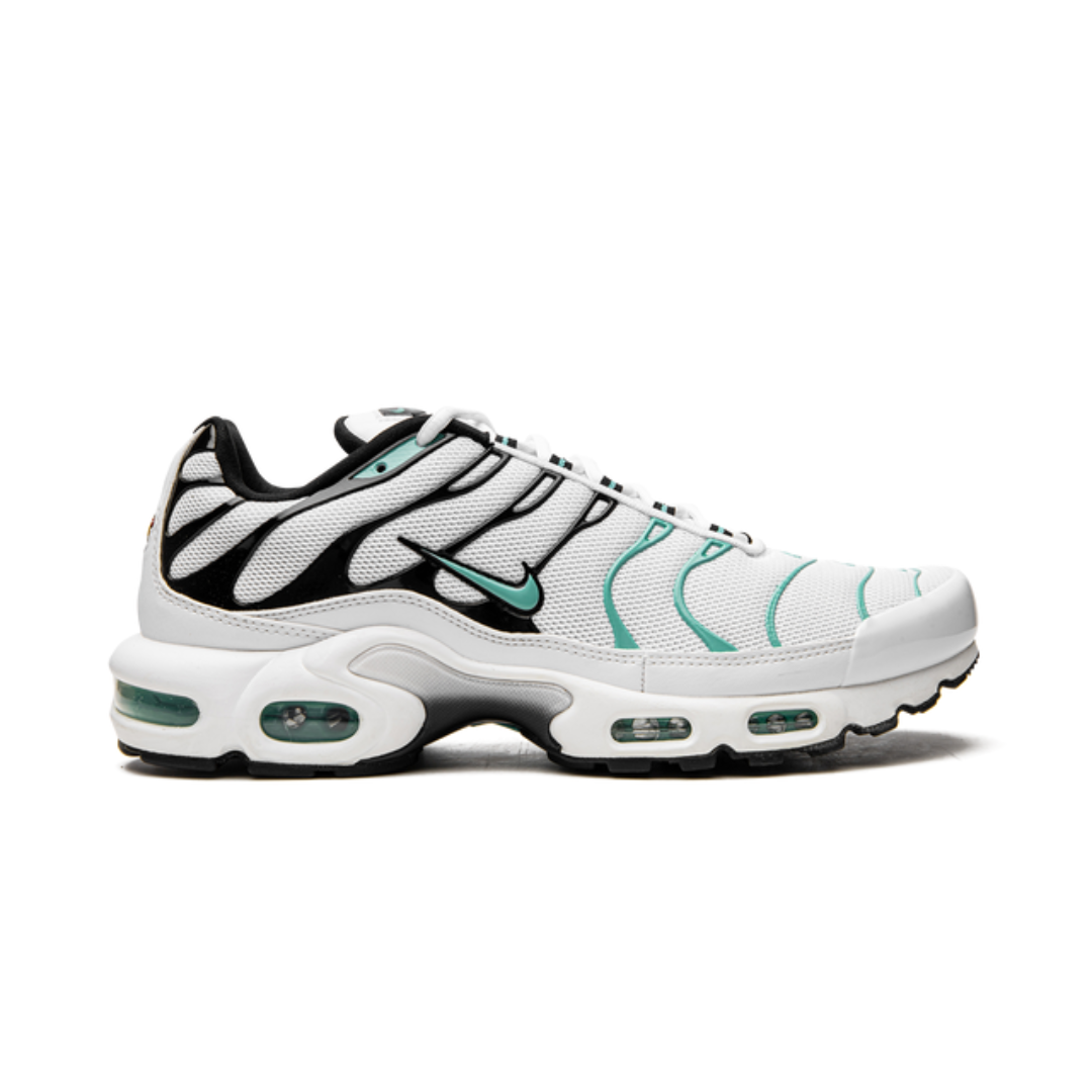 Nike Air Max Plus Atmos