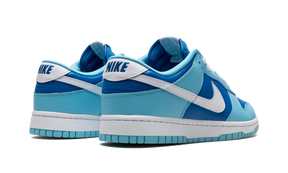 Nike Dunk Low Argon